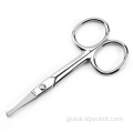 Stainless Steel Scissors Hair eyebrows stainless steel scissors cutting tools round head nose hair beauty scissors Factory